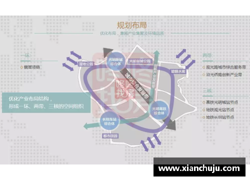 深圳光明体育明星的成就与影响力全景解析