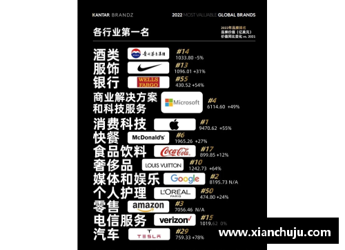 体育明星代言数量揭示品牌价值的终极秘密与市场策略分析