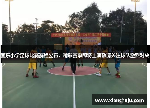 固东小学足球比赛赛程公布，精彩赛事即将上演敬请关注球队激烈对决